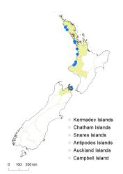 Veronica speciosa distribution map based on databased records at AK, CHR & WELT.
 Image: K.Boardman © Landcare Research 2022 CC-BY 4.0